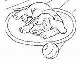 Colorear Perro Chien Durmiendo Cani Cachorro Sleep Dormindo Chiens Dormir Perritos Muerto Colorea Duerme Cachorros Desenho Deitado Dort Realiste Coloriages sketch template