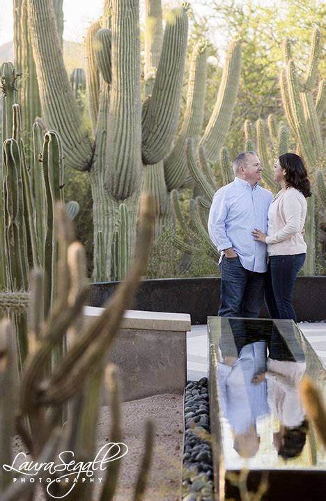 desert botanical garden archives laura segall photography arizona photojournalist weddings