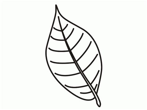 leaf coloring coloring pages