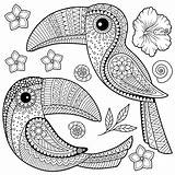 Coloriage Toucan Mandala Livre Feuilles Adultes Parmi Tropicales Illustration sketch template