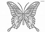 Schmetterling Papillon Coloriage Schmetterlinge Erwachsene Mandala Tiere Adults Insectos Adulti Insetti Mariposas Ausmalbilder Insects Dessin Imprimer Papillons Ausmalbild Mandalas Insekten sketch template