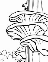 Coloring Mushroom Pages Cartoon Mushrooms Printable Color Tree Print Adult Getcolorings sketch template