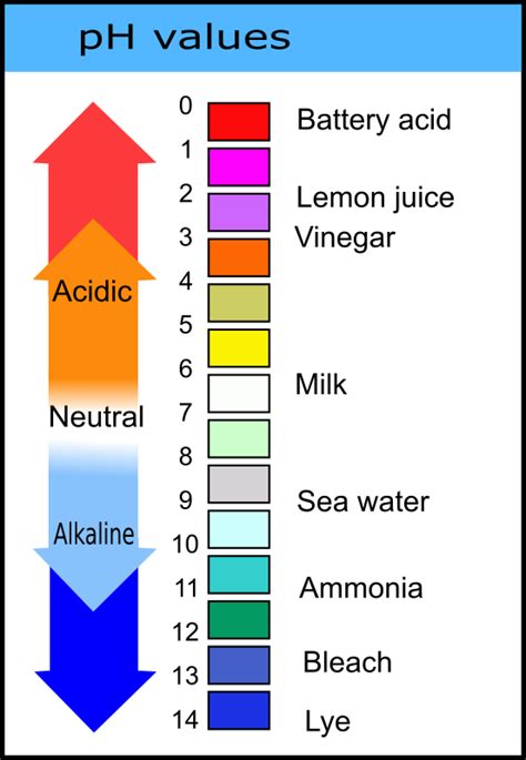 ph values chart openclipart