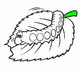 Colorir Lagarta Oruga Bruco Comiendo Caterpillar Chenille Mastica Desenhos Coloriage Mange Orugas Menjant Eruga Animaux Acolore Leaves Worms Iluminar Dibuix sketch template