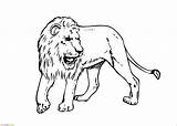 Singa Mewarnai Animal Marimewarnai Cheetah Paud Tk sketch template