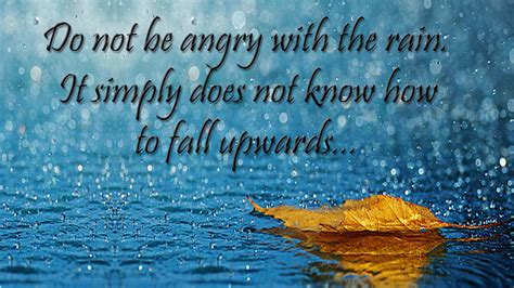 rain quotes images pictures rainy day quotes