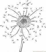 Dot Dots Connect Flower Sunflower Sun Flowers Coloring Kids Color Pages Worksheet Pdf Printable Print Coloringhome Worksheets Popular Numbers sketch template