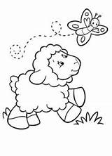 Domba Sheep Mewarnai Farm Lambs Tulamama Coloringsky Pintar Ducks Tk Paud Sd sketch template