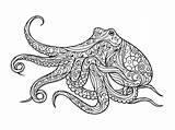 Octopus Coloriage Adult Poulpe Livre Vecteur Mandala Adultes Colorare Adulti Krake Kleurend Polipo Colorier Papiers Peints Stella Cobra Serpent Lusso sketch template