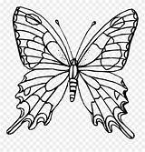 Schmetterling Ausdrucken Ausmalbild Papillon Schmetterlinge Kostenlos 1021 Pinclipart Cool2bkids Verwandt Kinderbilder Malvorlagen Bestof Mariposas Naturbilder Einfache Happycolorz Insekten sketch template