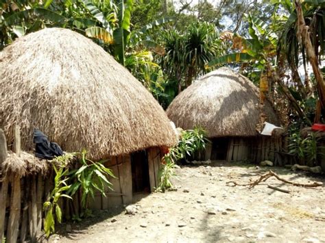 Rumah adat Suku Amungme, Papua, aturan khusus rumah adat papua  wajib patuh