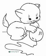 Coloring Cat Printable Pages Cats Below Click Kids sketch template