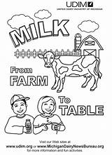 Dairy Colouring Insertion sketch template