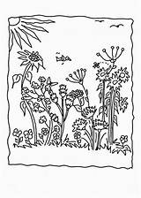 Blumenwiese Ausmalbilder Malvorlagen Kostenlos Maerchen Ausdrucken sketch template