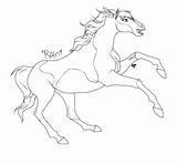 Spirit Coloring Horse Pages Rain Pinto Drawing Riding Sotc Color Colorings Getdrawings Getcolorings Printable Deviantart Ref Sheet Comments Popular Coloringhome sketch template