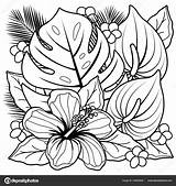 Hibiscus Depositphotos sketch template