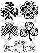 Claddagh Knot Shamrock Shamrocks Clover Irish Knots Patricks Verkauft sketch template