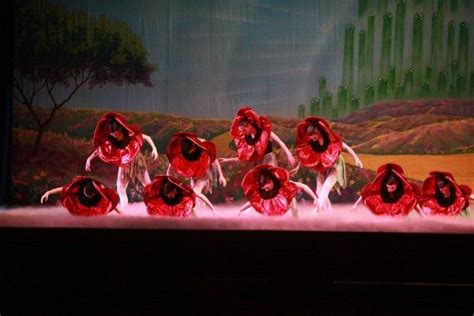 Land Of The Poppies Scene The Wizard Of Oz Ballet