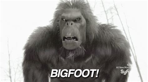 bigfoot find and share on giphy