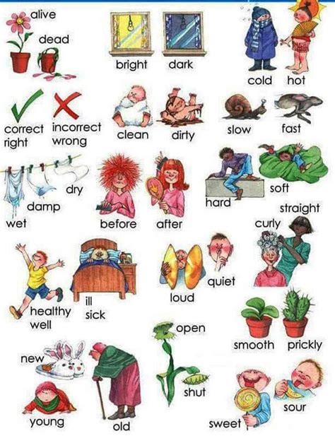 Common Opposites Of Adjectives In English With Images English