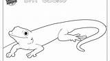 Gecko Tokay Coloring Designlooter Colouring Pages 430px 8kb sketch template