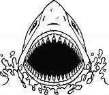 Shark Jaws Requin Vectors Vectorified Bouche Ouverte Getdrawings sketch template