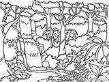 Rainforest Jungle sketch template