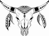 Skull Native Drawing American Eagle Buffalo Drawings Hand Feather Getdrawings Template sketch template