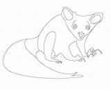 Aye Lemur sketch template