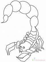 Kolorowanki Skorpiony Skorpion Dla Pobrania Bestcoloringpagesforkids sketch template