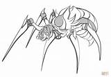 Spinne Ausmalbilder Ausmalbild Colorir Aranha Spiders Imprimir sketch template