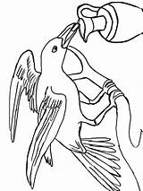 Crow Drawing Flying Coloring Getdrawings sketch template