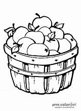 Apples Barrel Apple Coloring Pages Clipart Basket Fall Drawing Print Clip Color Printable Fruits Getdrawings Printcolorfun sketch template