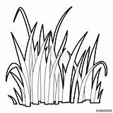Grass Outline Clipart Drawing Line Icon Vector Drawings Royalty Style Paintingvalley Pic Similar sketch template