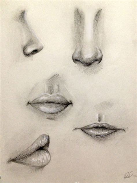 nose  lip practice  kaspiiandeviantartcom  atdeviantart sketch