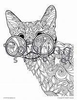 Coloring Pages Russian Blue Glasses Choose Board Spectacles Adult Animals Cat Cats sketch template