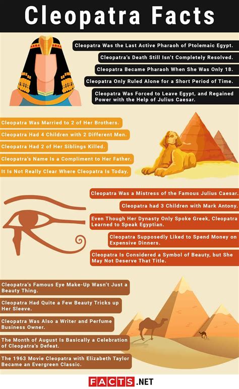 cleopatra facts infographics cleopatra facts egyptian history