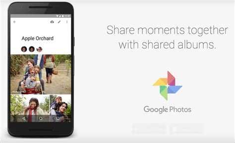 google  launches shared albums