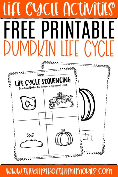 printable pumpkin life cycle  keeper   memories