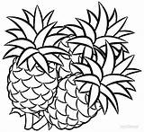 Ananas Pineapples Frutas Obst Piña Malvorlagen Cool2bkids Ribbons Coloringtop Ausdrucken Clipartmag Coloringhome Sliced sketch template