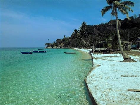 dn snorkeling  myvilla pulau sibu ami travel tours
