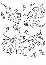 Leaves Indiaparenting sketch template