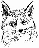 Renard Coloriage Tete Animaux Coloriages Cliparts Colorier Clipground sketch template