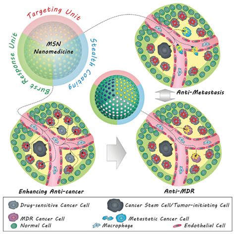 nanoparticles   cancer treatment  world  nanoscience