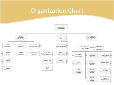 organization chart global development  construction
