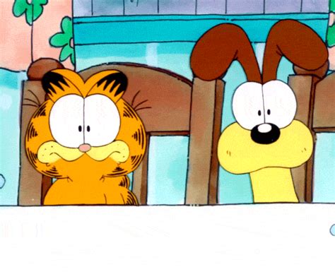 confused cat by garfield find and share on giphy