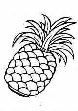 Pineapple Coloring Clipart Outline Pages Kid Pineapples Printable Clipartmag Webstockreview sketch template