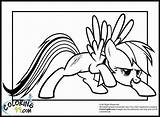 Coloring Dash Rainbow Pages Pony Little Mlp Clipart Comments Kids Minister Colors Team Coloringhome Library Popular Printable sketch template