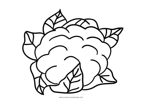 cauliflower coloring page ultra coloring pages