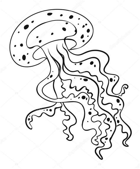 jellyfish outline animal outline  jellyfish stock vector